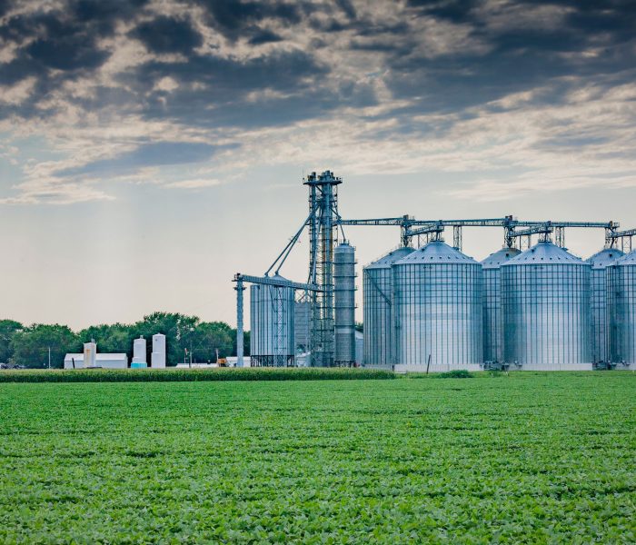Grain Elevators in a large field